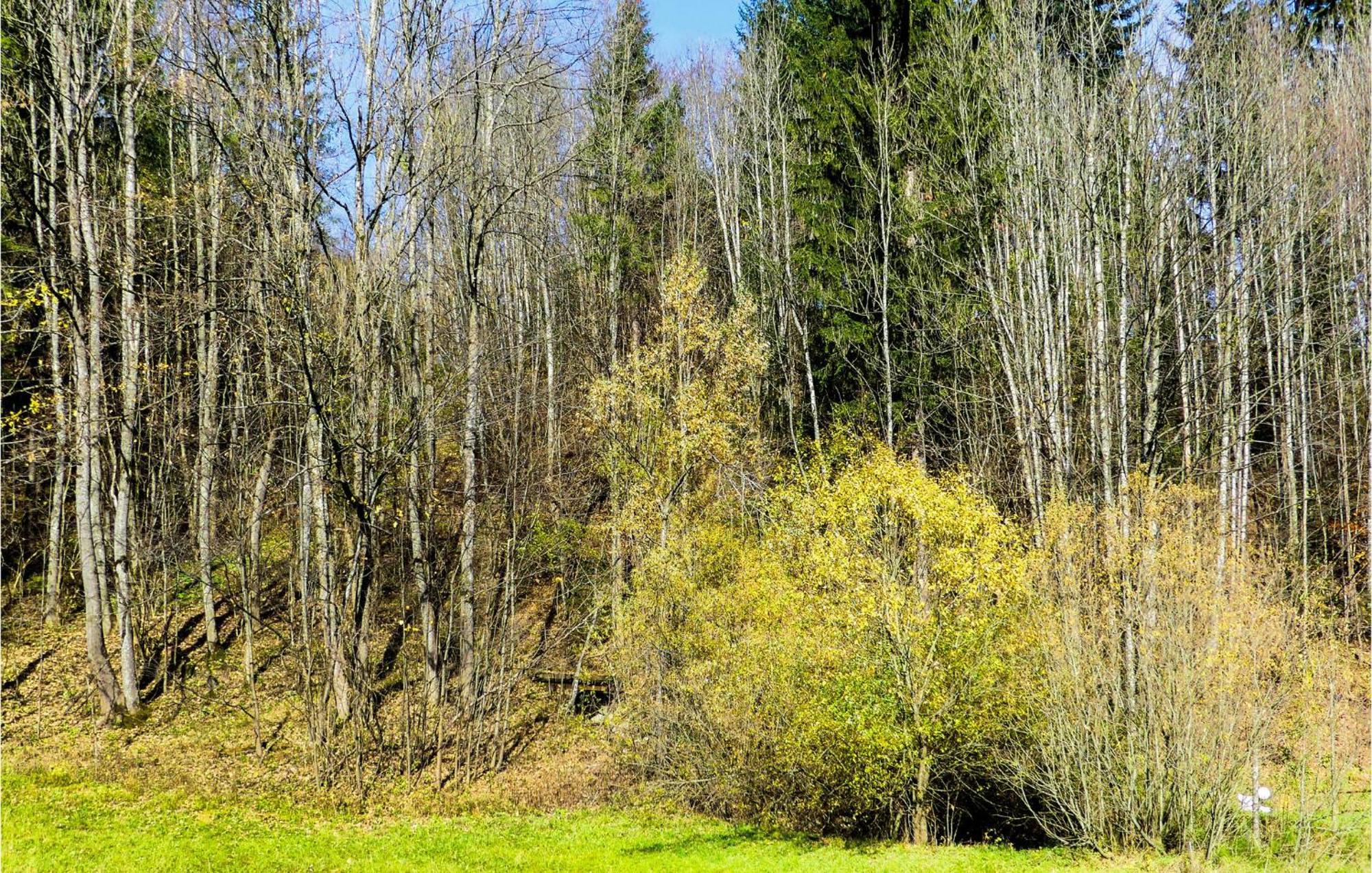 Ferienwohnung-Annaberg Esterno foto